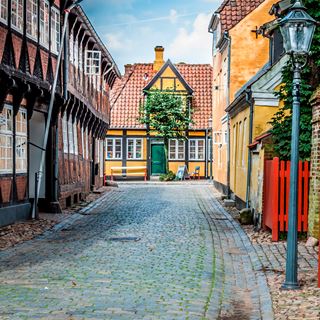 Ribe by